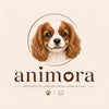 ANIMORA - Accueil