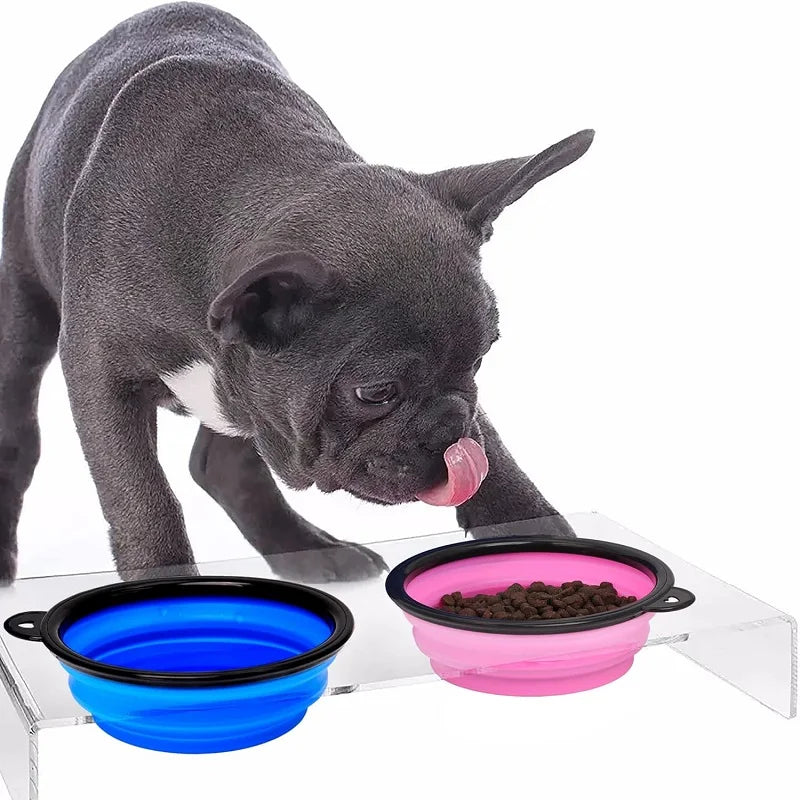 Gourde & Gamelle Pliable 2-en-1 pour Animaux : Distributeur d'Eau et Croquettes Portable avec Mousqueton pour Randonnée et Voyage