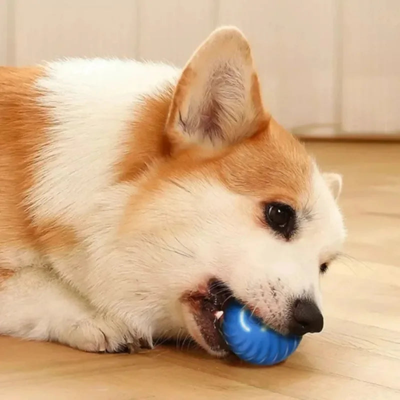 Balle Interactive Intelligente pour Chiens – Jouet à Rebond Automatique, Roulement Rotatif et Recharge USB – Le compagnon idéal pour occuper votre chiot et éviter l'ennui.