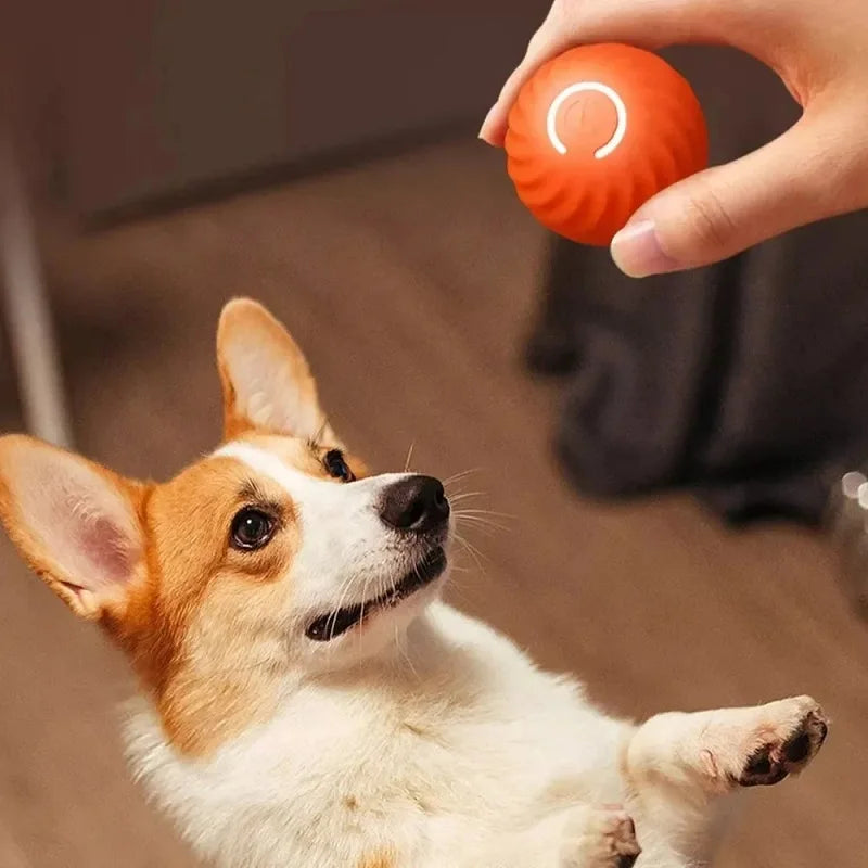 Balle Interactive Intelligente pour Chiens – Jouet à Rebond Automatique, Roulement Rotatif et Recharge USB – Le compagnon idéal pour occuper votre chiot et éviter l'ennui.