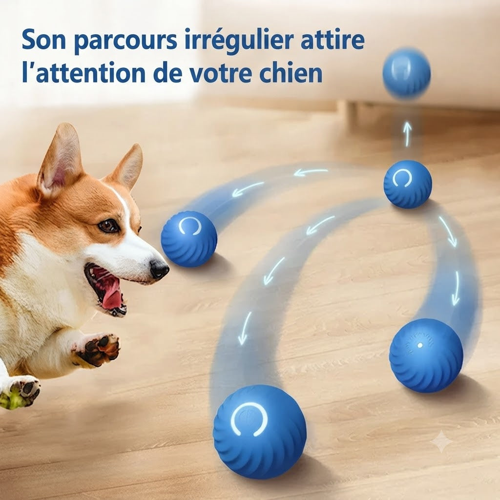 Balle Interactive Intelligente pour Chiens – Jouet à Rebond Automatique, Roulement Rotatif et Recharge USB – Le compagnon idéal pour occuper votre chiot et éviter l'ennui.