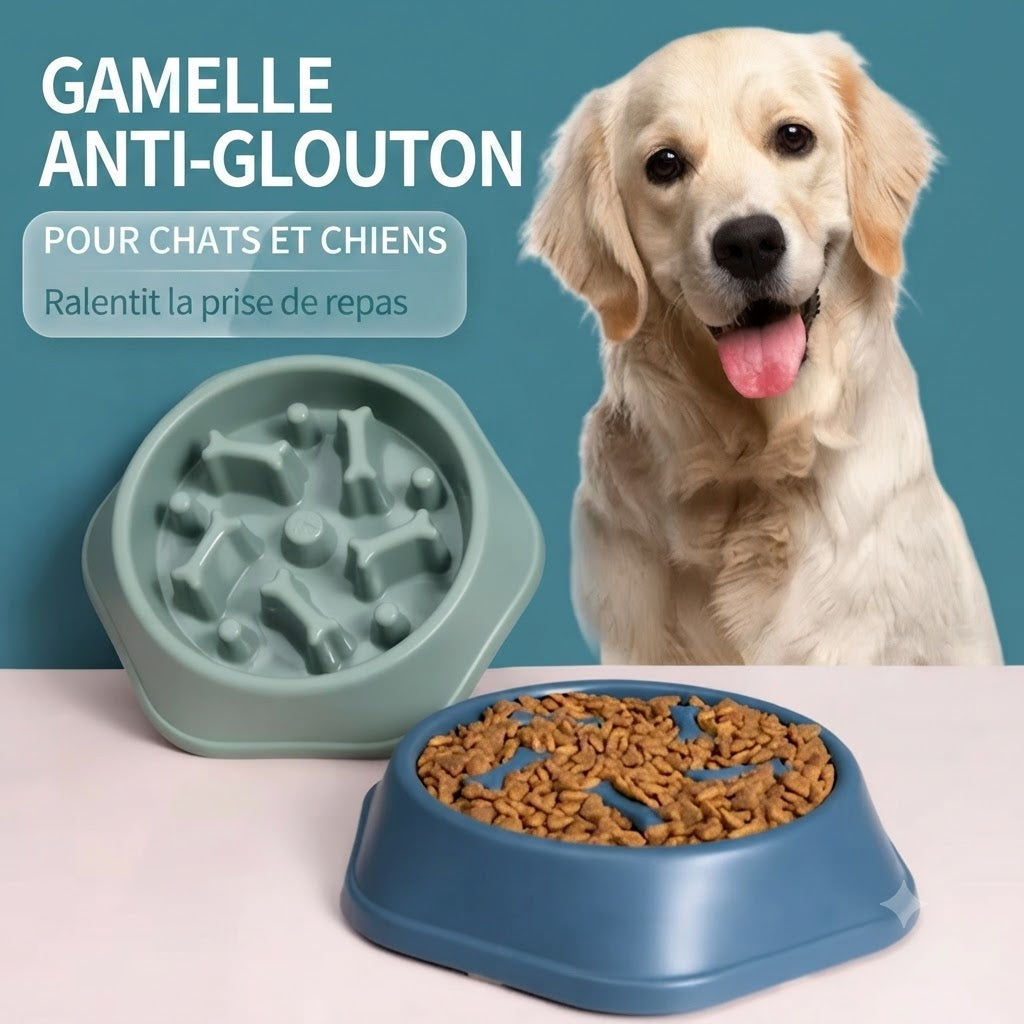 Gamelle Anti-Glouton pour Chien et Chat : Écuelle Labyrinthe Antidérapante pour une Digestion Saine - Disponible en Plusieurs Tailles